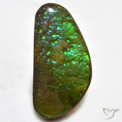 16.81ct Natural Multicolorido amolita, Chique, Opaco