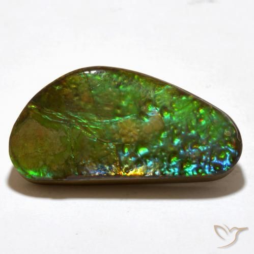 amolita Multicolorido Natural 16.81ct, Chique, Opaco