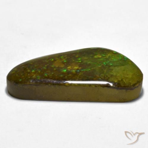 amolita Multicolorido Natural 16.81ct, Chique, Opaco
