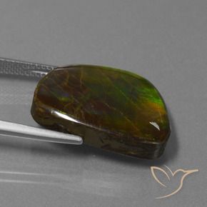 amolita Multicolorido Natural 17.11ct, Chique, Opaco