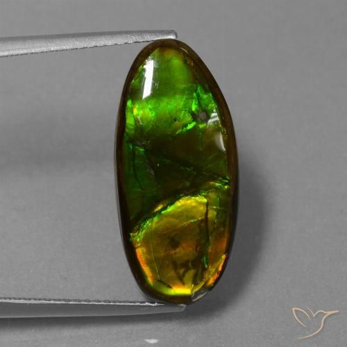 10.85ct Natural Multicolorido amolita, Chique, Opaco