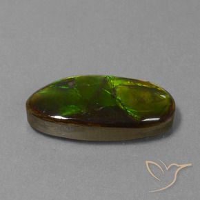 amolita Multicolorido Natural 10.85ct, Chique, Opaco