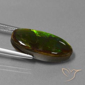 amolita Multicolorido Natural 10.85ct, Chique, Opaco