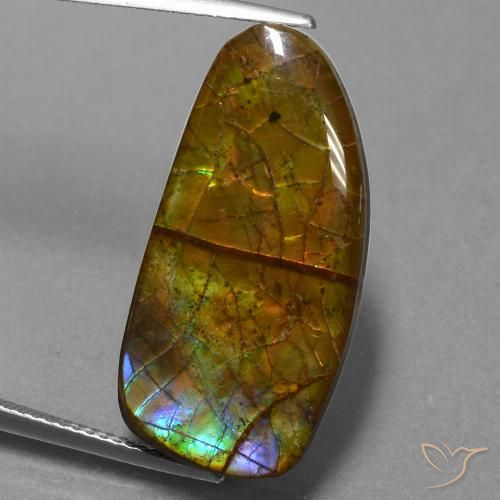 13.89ct Natural Multicolorido amolita, Chique, Opaco