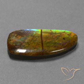 amolita Multicolorido Natural 13.89ct, Chique, Opaco