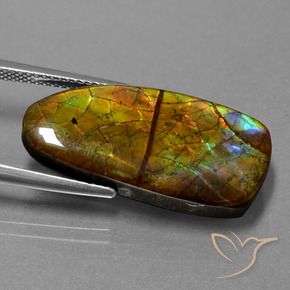 amolita Multicolorido Natural 13.89ct, Chique, Opaco