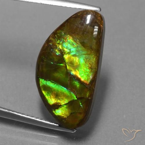 11.30ct Natural Multicolorido amolita, Chique, Opaco