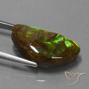 amolita Multicolorido Natural 11.30ct, Chique, Opaco