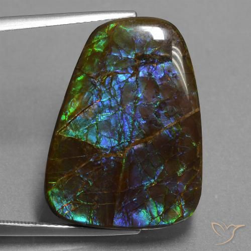 23.98ct Natural Multicolorido amolita, Chique, Opaco