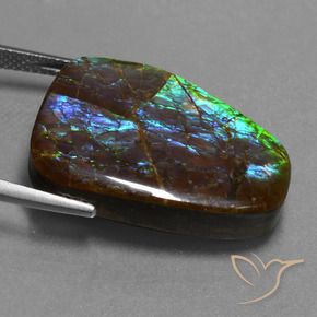 amolita Multicolorido Natural 23.98ct, Chique, Opaco