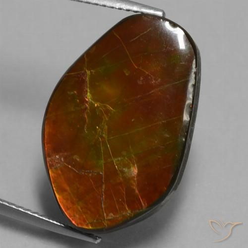 14.61ct Natural Multicolorido amolita, Chique, Opaco