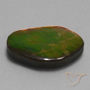 amolita Multicolorido Natural 14.61ct, Chique, Opaco