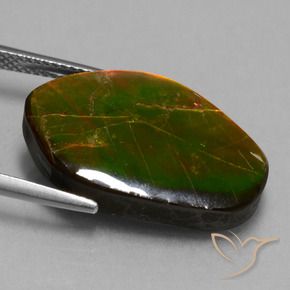 amolita Multicolorido Natural 14.61ct, Chique, Opaco