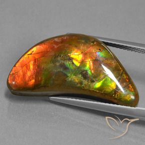 amolita Multicolorido Natural 17.19ct, Chique, Opaco