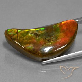 amolita Multicolorido Natural 17.19ct, Chique, Opaco