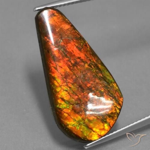 14.87ct Natural Multicolorido amolita, Chique, Opaco
