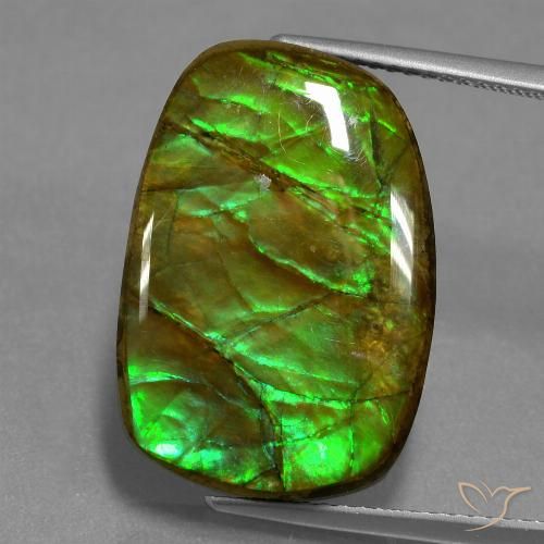 13.93ct Natural Multicolorido amolita, Chique, Opaco