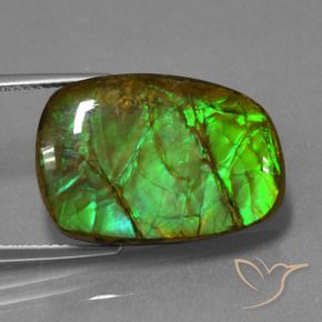 amolita Multicolorido Natural 13.93ct, Chique, Opaco