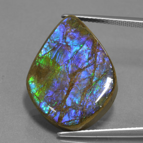 Ammolita multicolorido natural 18,07ct, forma extravagante, opaco