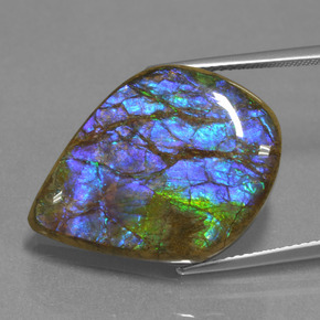 Ammolita multicolorido natural 18,07ct, forma extravagante, opaco