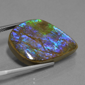 Ammolita multicolorido natural 18,07ct, forma extravagante, opaco