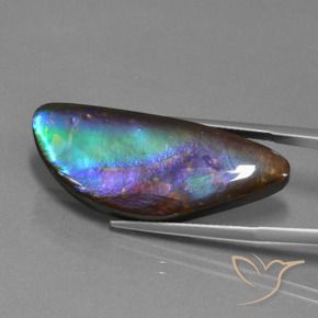 Ammolita multicolorido natural 21,30ct, forma extravagante, opaco