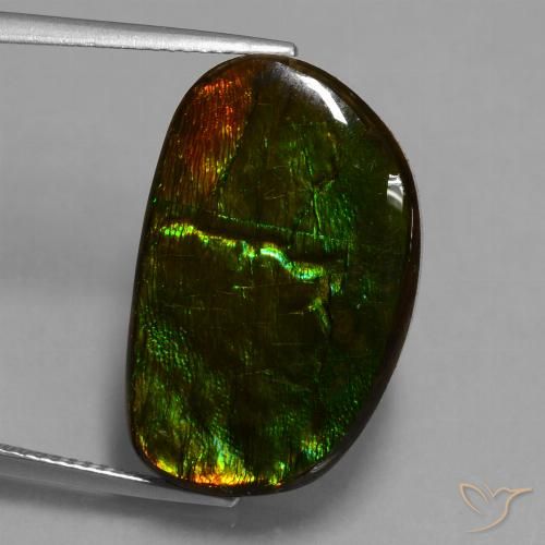17.20ct Natural Multicolorido amolita, Chique, Opaco
