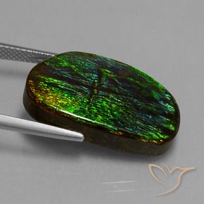 amolita Multicolorido Natural 17.20ct, Chique, Opaco