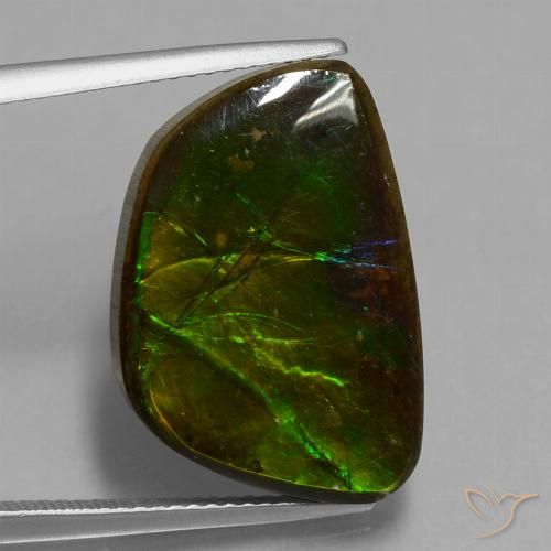 14.74ct Natural Multicolorido amolita, Chique, Opaco