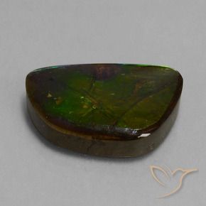 amolita Multicolorido Natural 14.74ct, Chique, Opaco