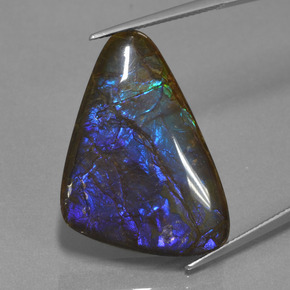 Ammolita multicolorido natural 22,64ct, forma extravagante, opaco