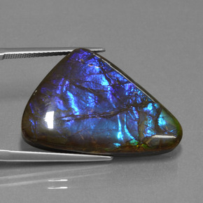 Ammolita multicolorido natural 22,64ct, forma extravagante, opaco
