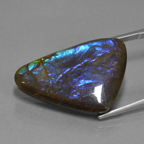 Ammolita multicolorido natural 22,64ct, forma extravagante, opaco