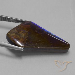 amolita Multicolorido Natural 19.82ct, Chique, Opaco