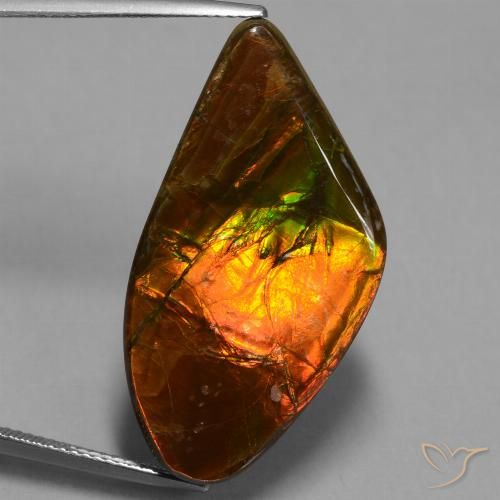 21.71ct Natural Multicolorido amolita, Chique, Opaco