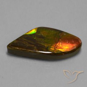 amolita Multicolorido Natural 21.71ct, Chique, Opaco