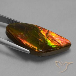 amolita Multicolorido Natural 21.71ct, Chique, Opaco