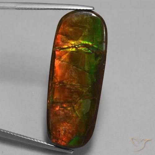 24.02ct Natural Multicolorido amolita, Chique, Opaco