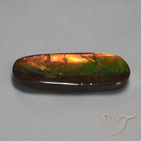 amolita Multicolorido Natural 24.02ct, Chique, Opaco