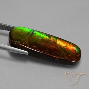 amolita Multicolorido Natural 24.02ct, Chique, Opaco