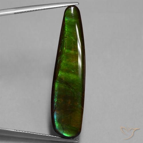 19.66ct Natural Multicolorido amolita, Chique, Opaco