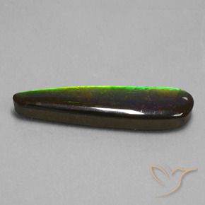 amolita Multicolorido Natural 19.66ct, Chique, Opaco