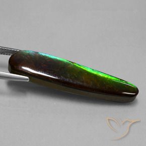 amolita Multicolorido Natural 19.66ct, Chique, Opaco
