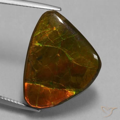 15.18ct Natural Multicolorido amolita, Chique, Opaco