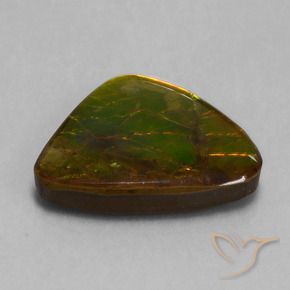 amolita Multicolorido Natural 15.18ct, Chique, Opaco