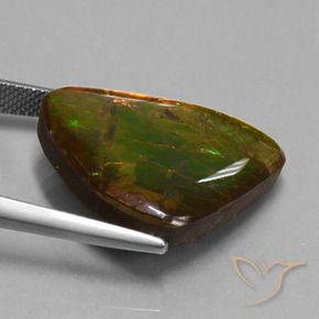 amolita Multicolorido Natural 15.18ct, Chique, Opaco