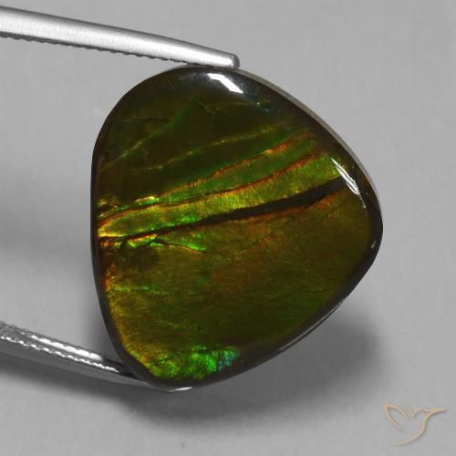 16.74ct Natural Multicolorido amolita, Chique, Opaco