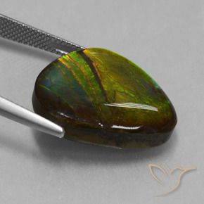 amolita Multicolorido Natural 16.74ct, Chique, Opaco
