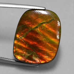 Ammolita multicolorido natural 20,27ct, forma extravagante, opaco