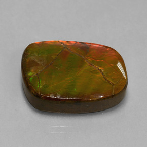 Ammolita multicolorido natural 20,27ct, forma extravagante, opaco